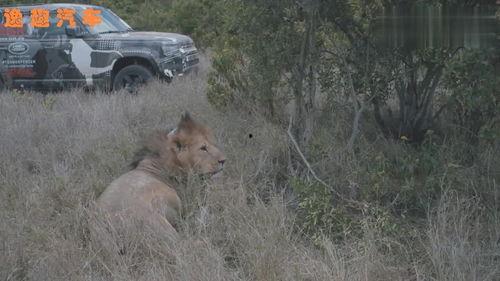 爆料路虎卫士视频播放,硬派越野再升级，性能与颜值并存  第1张