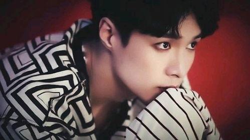 爆料阿飞肖战视频下载安装,揭秘阿飞肖战视频下载安装全过程  第3张